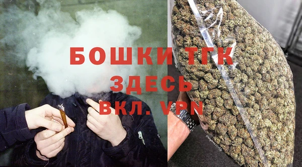 таблы Осинники