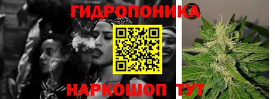 мяу мяу мука Гусиноозёрск