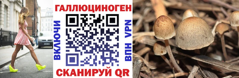 мега ССЫЛКА  Костомукша  Галлюциногенные грибы мицелий 