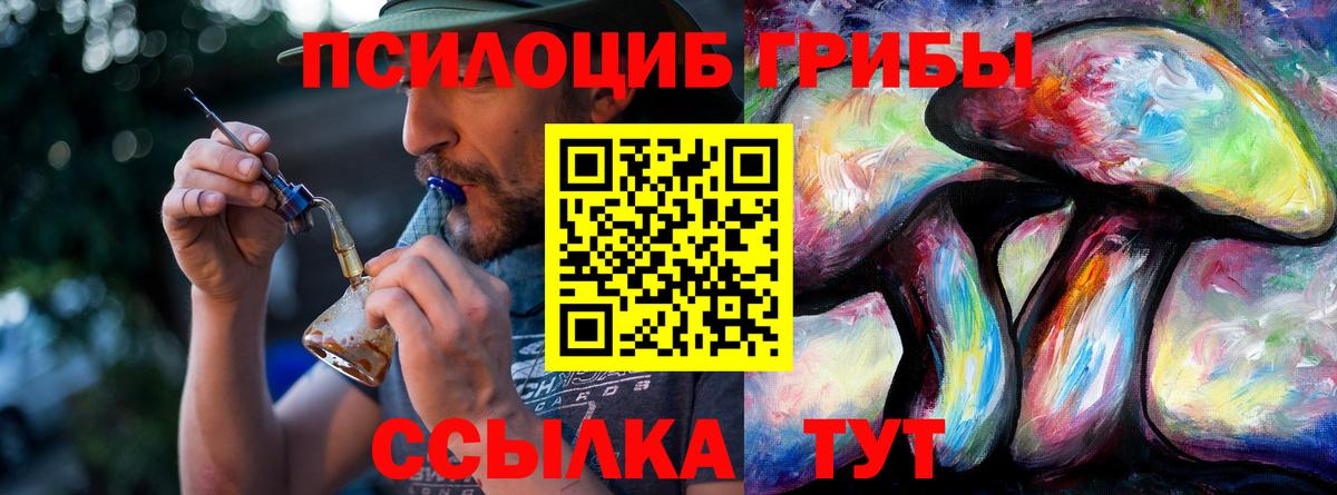 Костомукша  где найти   Вход с VPN  Галлюциногенные грибы Cubensis 